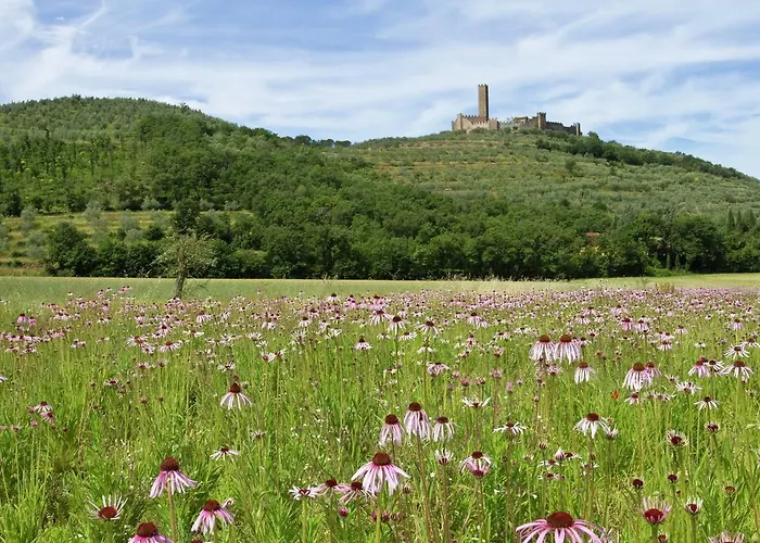 Spacious Farmhouse in Castiglion Fiorentino with Pool