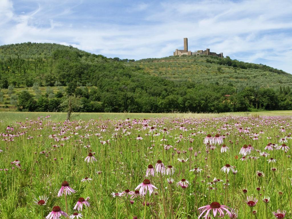 Belvilla By Oyo Montecchio Casa vacanze